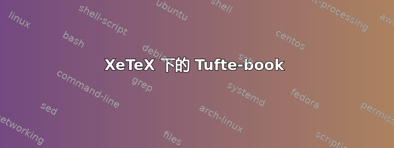 XeTeX 下的 Tufte-book