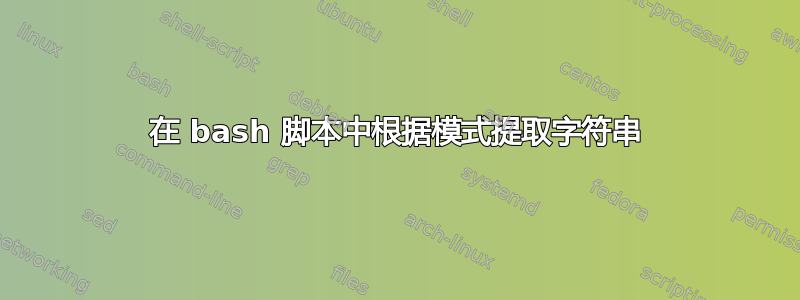 在 bash 脚本中根据模式提取字符串