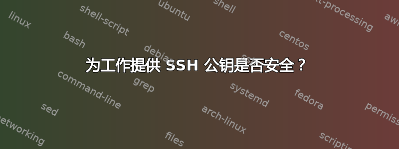 为工作提供 SSH 公钥是否安全？