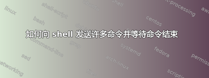 如何向 shell 发送许多命令并等待命令结束 