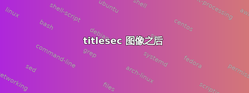 titlesec 图像之后