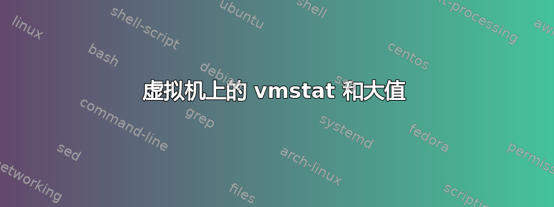 虚拟机上的 vmstat 和大值