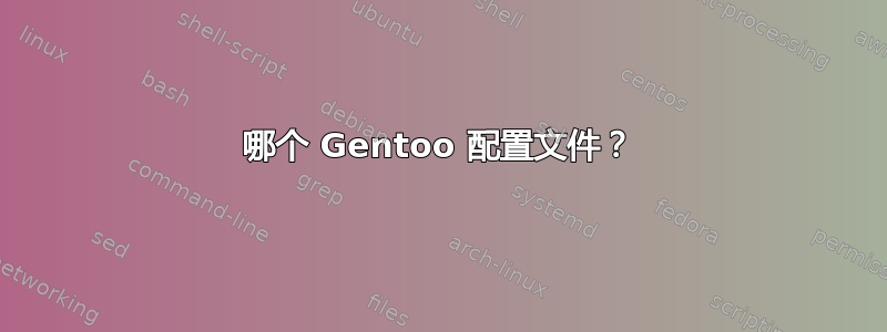 哪个 Gentoo 配置文件？