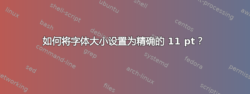 如何将字体大小设置为精确的 11 pt？