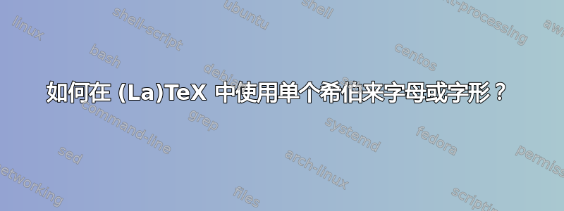 如何在 (La)TeX 中使用单个希伯来字母或字形？