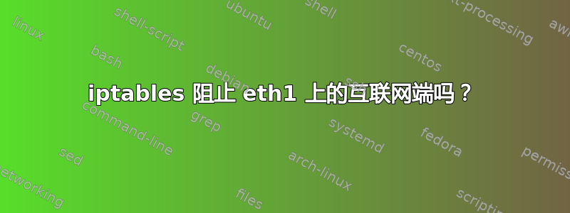 iptables 阻止 eth1 上的互联网端吗？