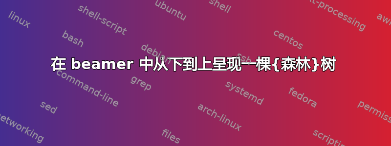 在 beamer 中从下到上呈现一棵{森林}树