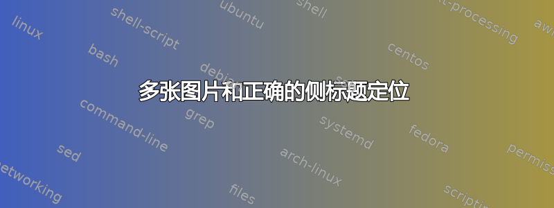 多张图片和正确的侧标题定位