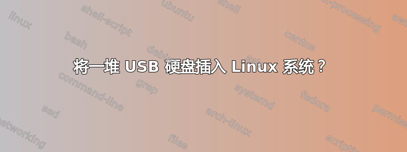 将一堆 USB 硬盘插入 Linux 系统？