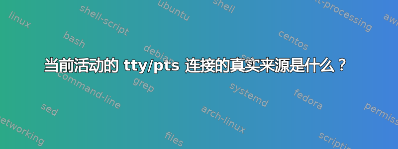 当前活动的 tty/pts 连接的真实来源是什么？