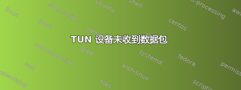 TUN 设备未收到数据包