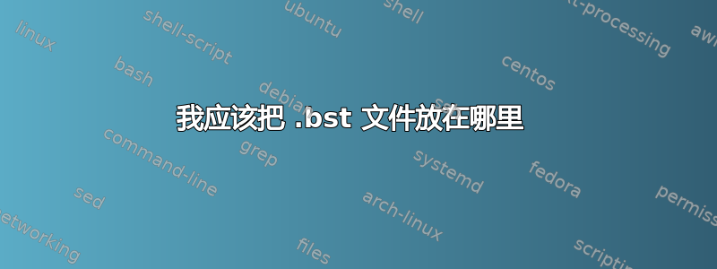 我应该把 .bst 文件放在哪里 