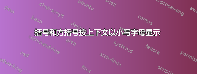 括号和方括号按上下文以小写字母显示