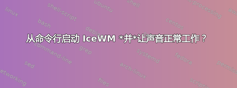 从命令行启动 IceWM *并*让声音正常工作？