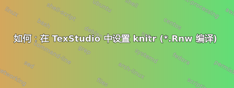 如何：在 TexStudio 中设置 knitr (*.Rnw 编译)