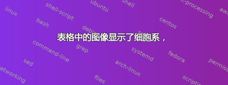 表格中的图像显示了细胞系，