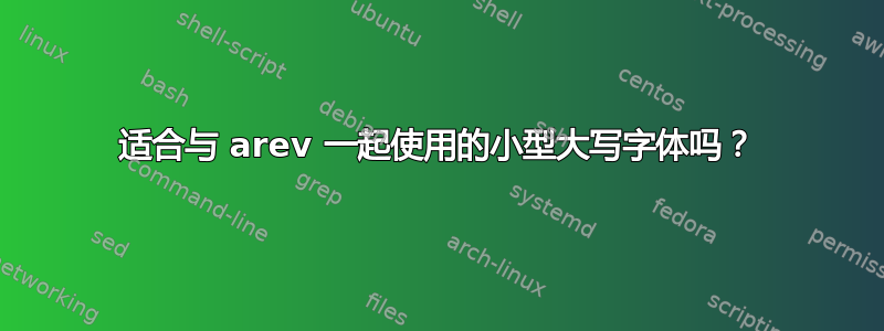 适合与 arev 一起使用的小型大写字体吗？