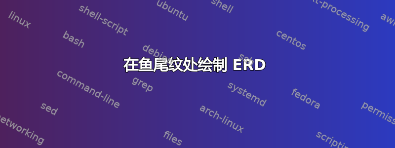 在鱼尾纹处绘制 ERD