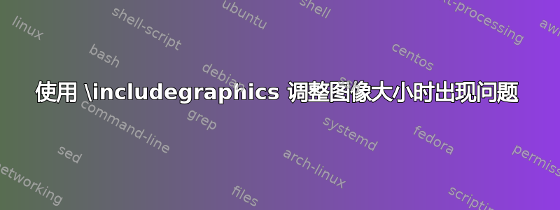 使用 \includegraphics 调整图像大小时出现问题