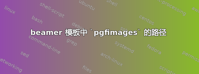 beamer 模板中 `pgfimages` 的路径