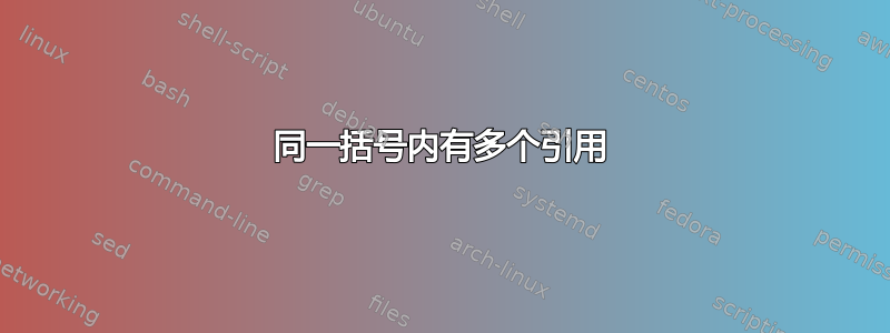 同一括号内有多个引用