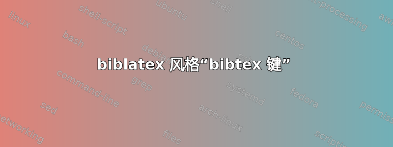 biblatex 风格“bibtex 键”