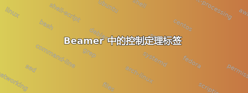 Beamer 中的控制定理标签