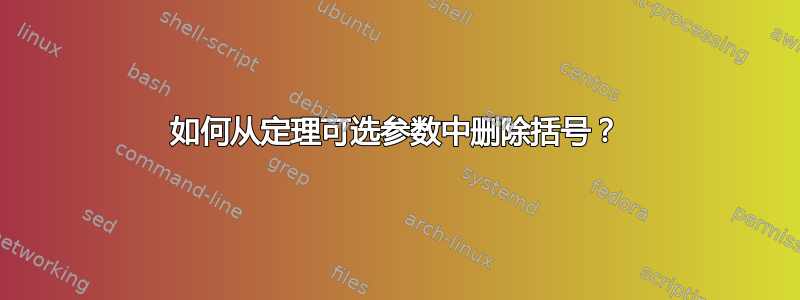 如何从定理可选参数中删除括号？