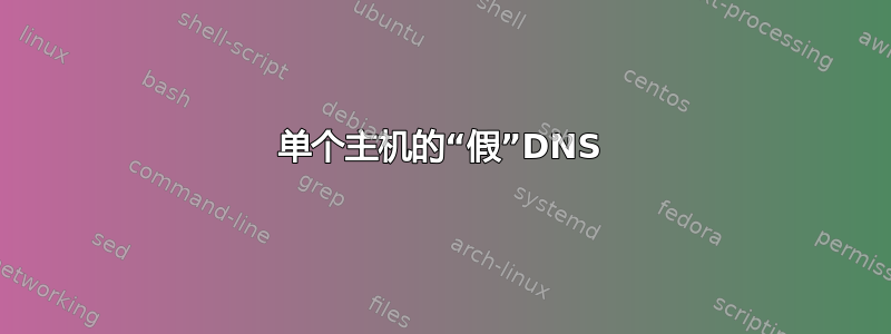 单个主机的“假”DNS