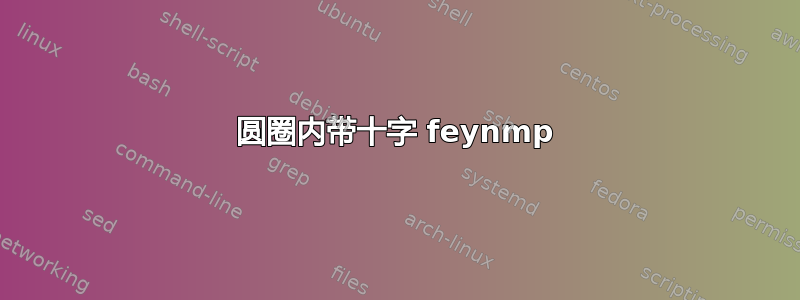 圆圈内带十字 feynmp