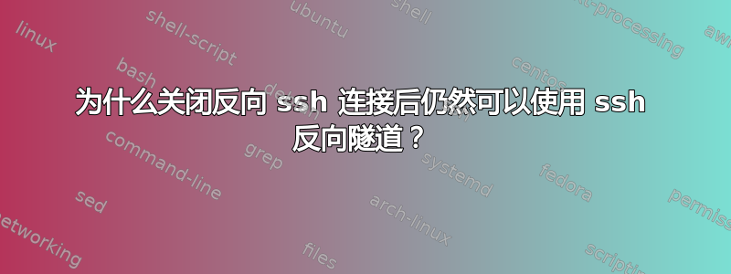 为什么关闭反向 ssh 连接后仍然可以使用 ssh 反向隧道？