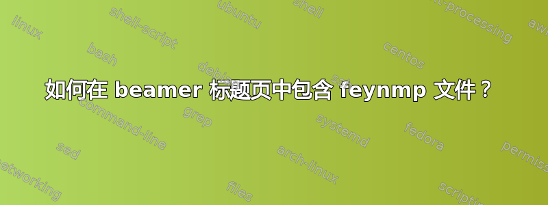 如何在 beamer 标题页中包含 feynmp 文件？