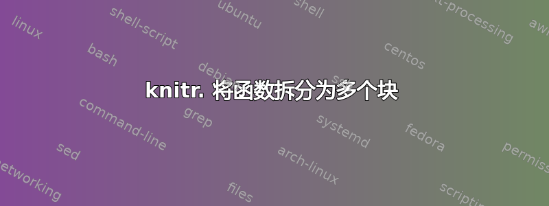 knitr. 将函数拆分为多个块