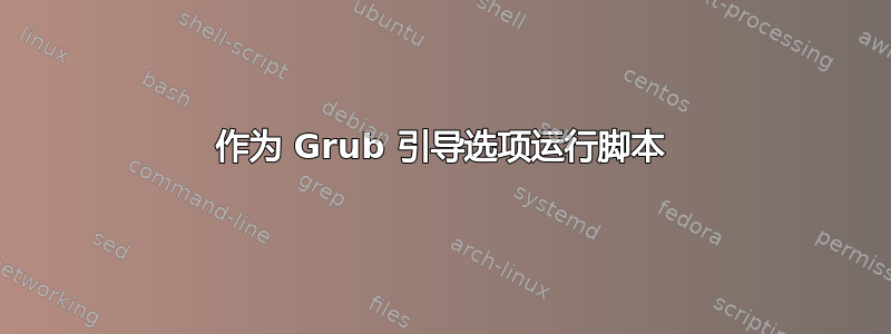 作为 Grub 引导选项运行脚本