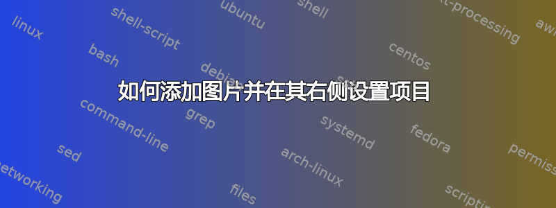 如何添加图片并在其右侧设置项目