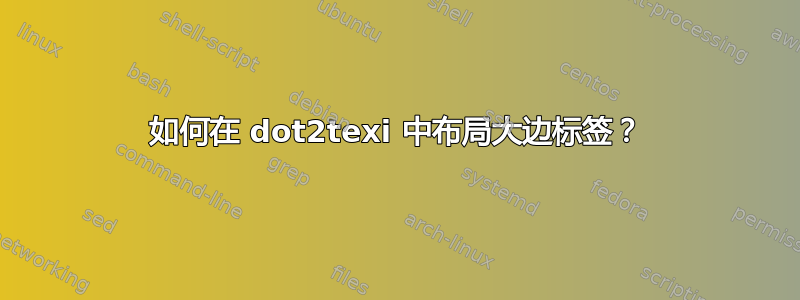 如何在 dot2texi 中布局大边标签？