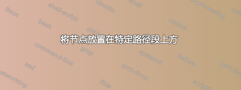 将节点放置在特定路径段上方