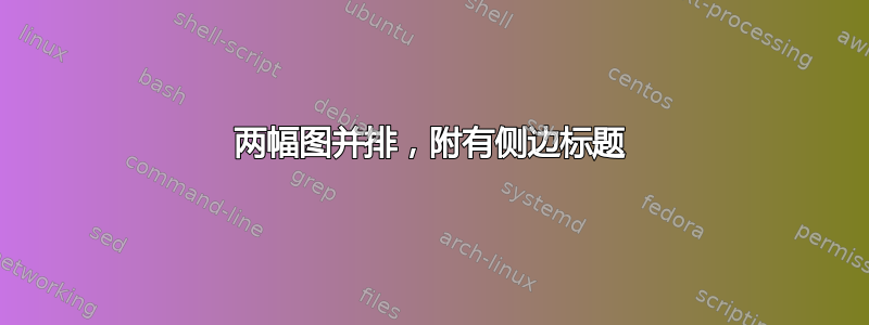 两幅图并排，附有侧边标题