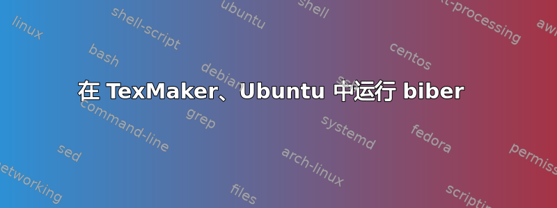 在 TexMaker、Ubuntu 中运行 biber 