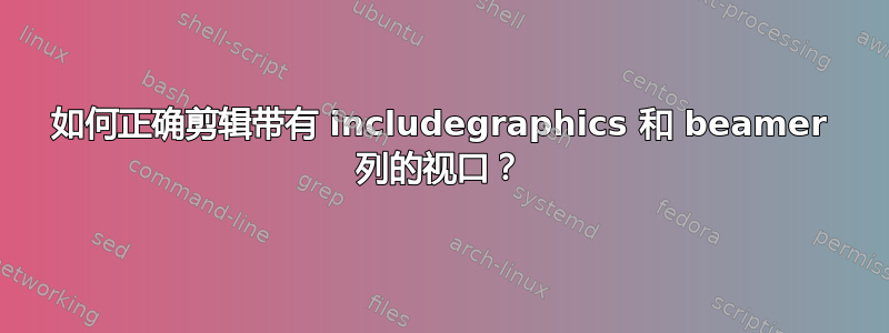 如何正确剪辑带有 includegraphics 和 beamer 列的视口？