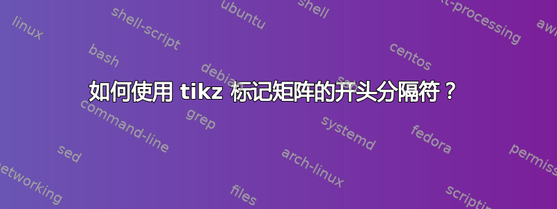 如何使用 tikz 标记矩阵的开头分隔符？