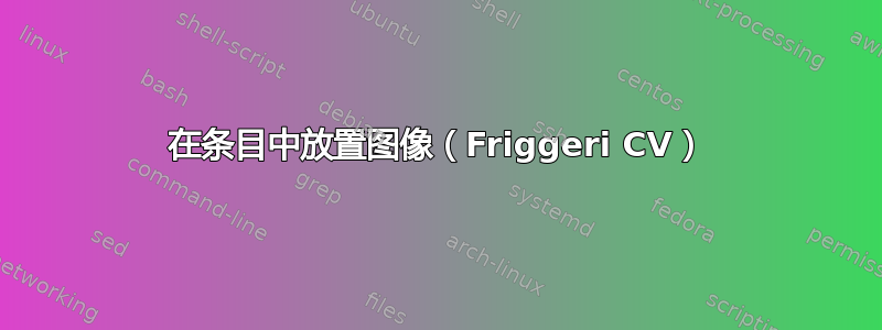 在条目中放置图像（Friggeri CV）