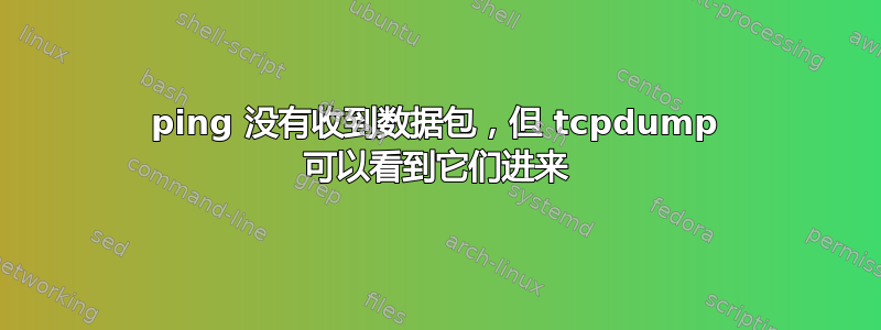 ping 没有收到数据包，但 tcpdump 可以看到它们进来