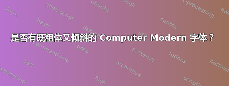 是否有既粗体又倾斜的 Computer Modern 字体？