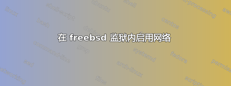 在 freebsd 监狱内启用网络