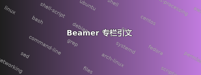 Beamer 专栏引文