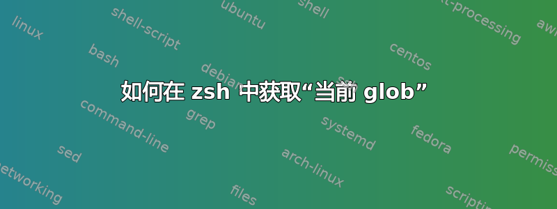 如何在 zsh 中获取“当前 glob”