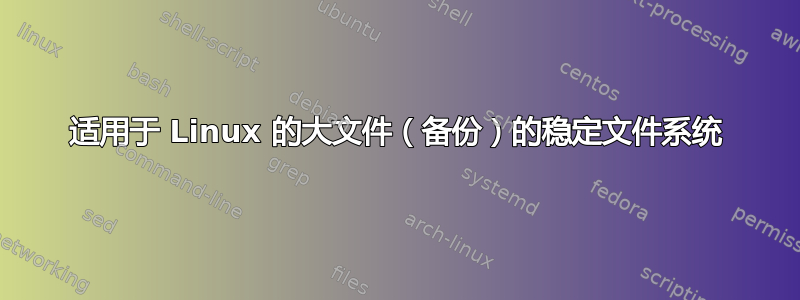 适用于 Linux 的大文件（备份）的稳定文件系统