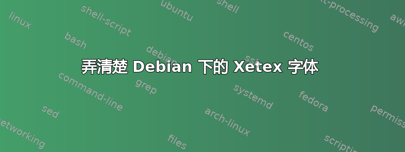 弄清楚 Debian 下的 Xetex 字体