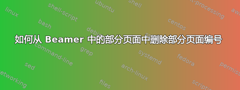 如何从 Beamer 中的部分页面中删除部分页面编号